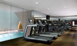 PARK HYATT VIENNA Health club