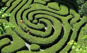 Shangri La Hotel Kuala Lumpur Garden Maze