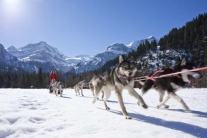 The Alpina Gstaad Exterior view