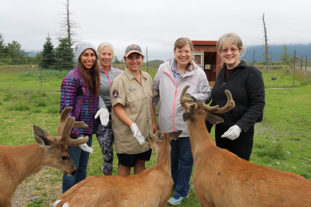 alaska wildlife conservation center tours