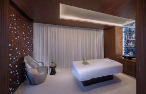 ANDAZ DUBAI THE PALM Spa