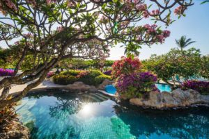 GRAND HYATT BALI Pool view