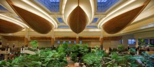 GRAND HYATT DUBAI Lobby view