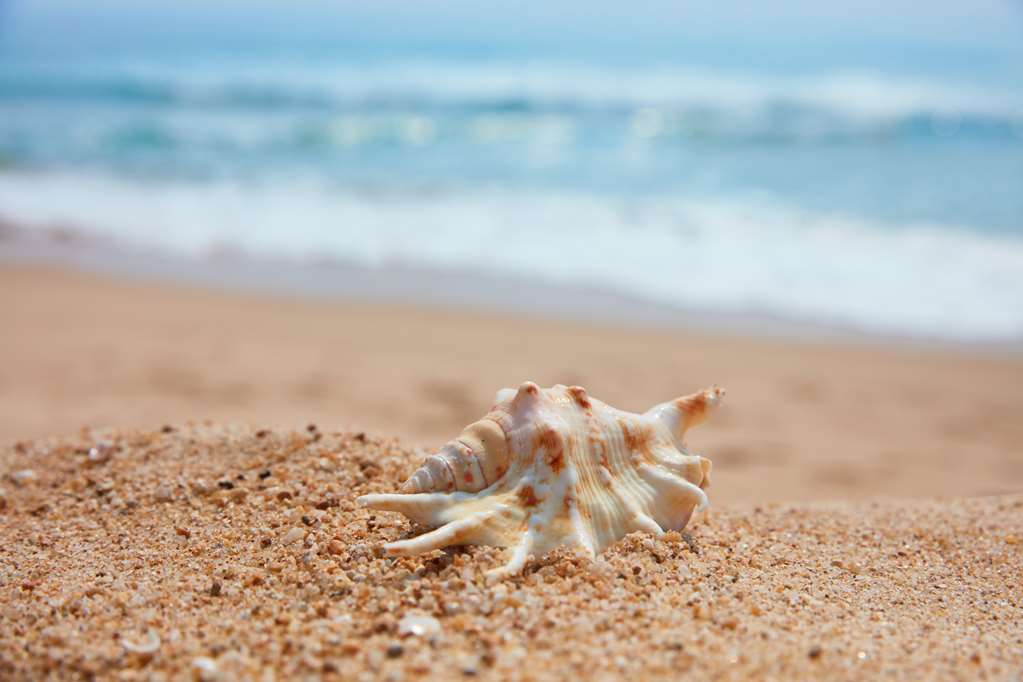 GRAND HYATT SANYA HAITANG BAY Beach