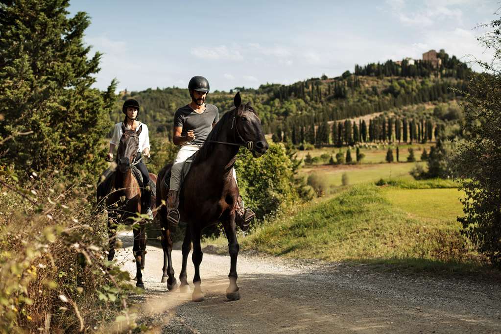 Il Castelfalfi Recreational facility