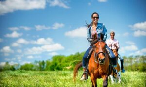 The American Club Recreational facility