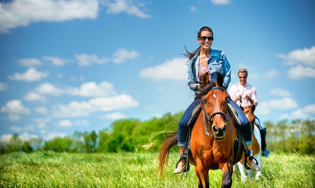 The American Club Recreational facility