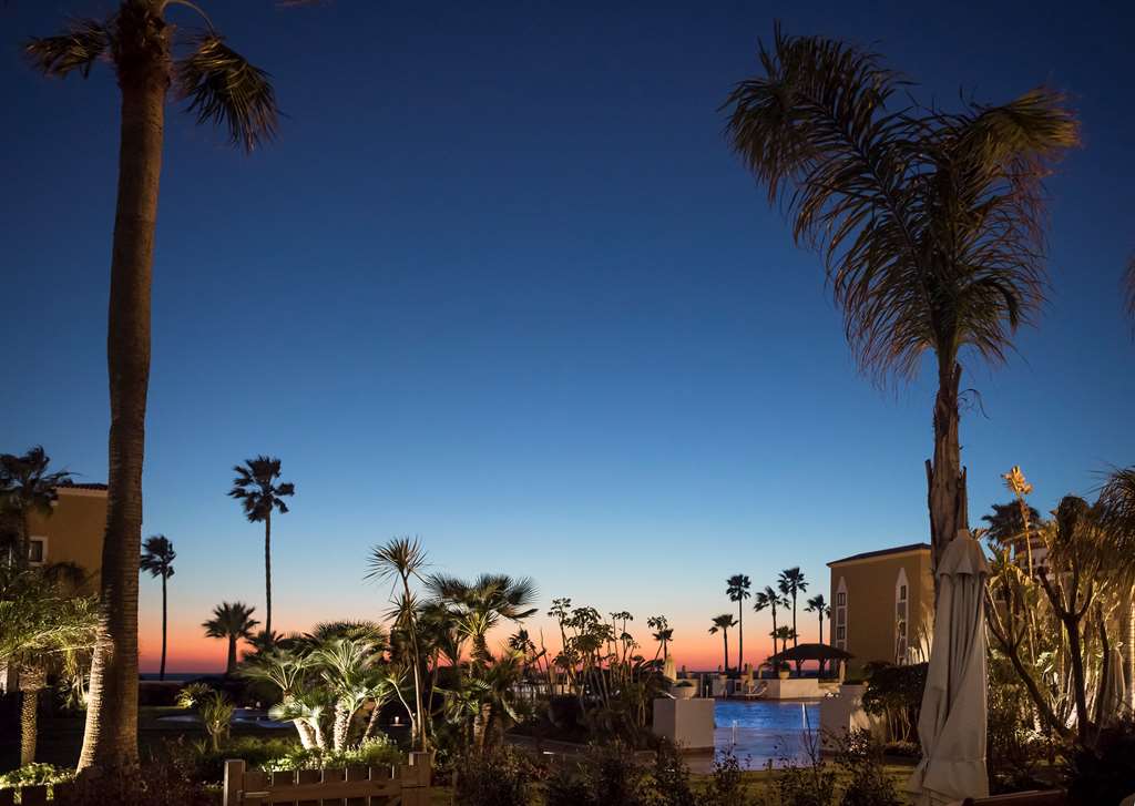 GRAN MELIA SANCTI PETRI Pool view