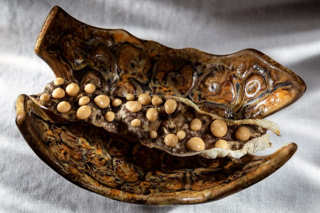 GRAN MELIA SANCTI PETRI Restaurant