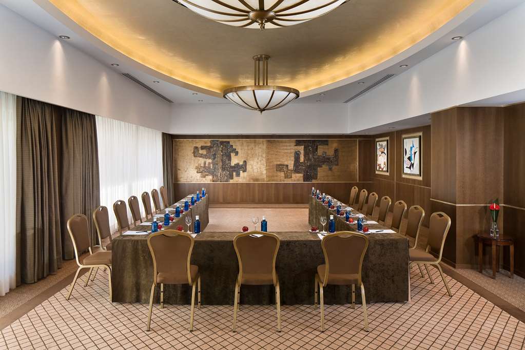 HOTEL DON PEPE GRAN MELIA Meeting room