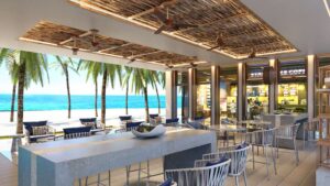 PARADISUS PLAYA MUJERES Bar/Lounge