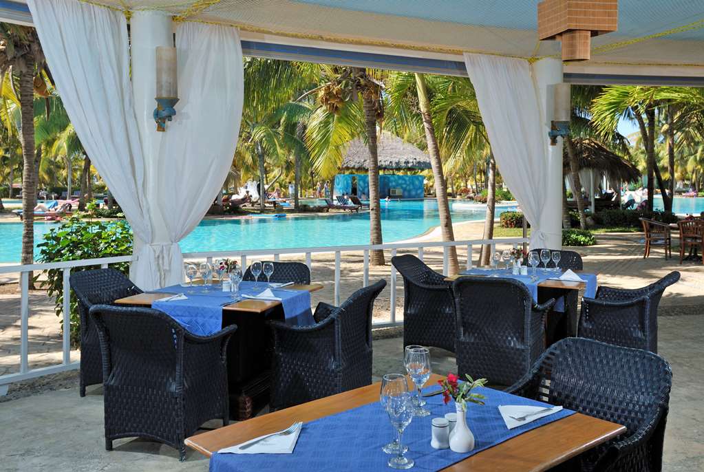 PARADISUS VARADERO Bar/Lounge