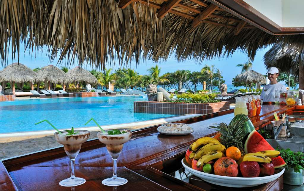 PARADISUS VARADERO Bar/Lounge