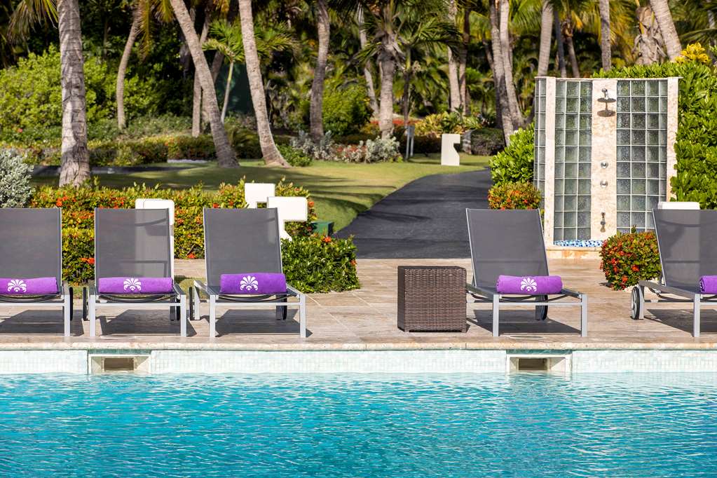 THE RESERVE AT PARADISUS PALMA REAL Pool view