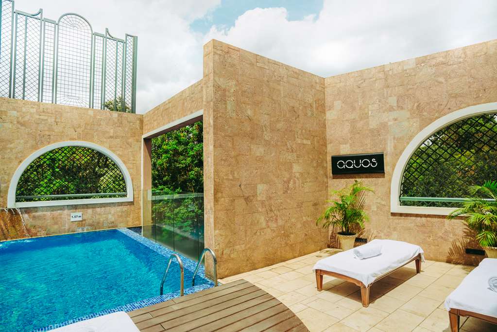 Villa Rosa Kempinski Nairobi KINBO1_Swimming Pool - 2.tif