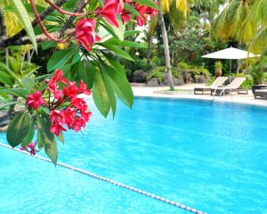 GRAND HYATT JAKARTA Pool view