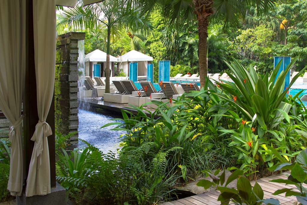 GRAND HYATT SINGAPORE Pool view