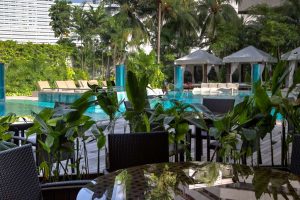 GRAND HYATT SINGAPORE Pool view