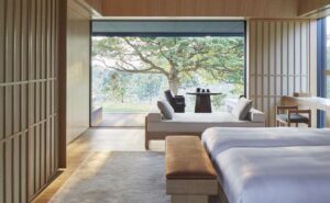 Amanemu Amanemu Mori Suite