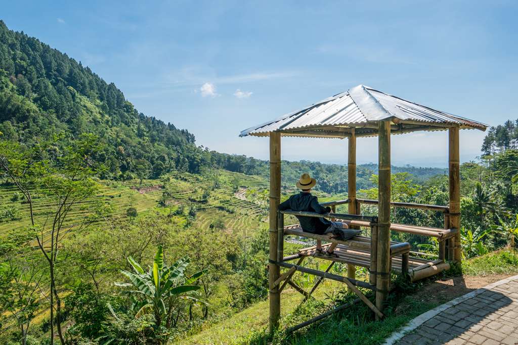 Amanjiwo Selogriyo Picnic