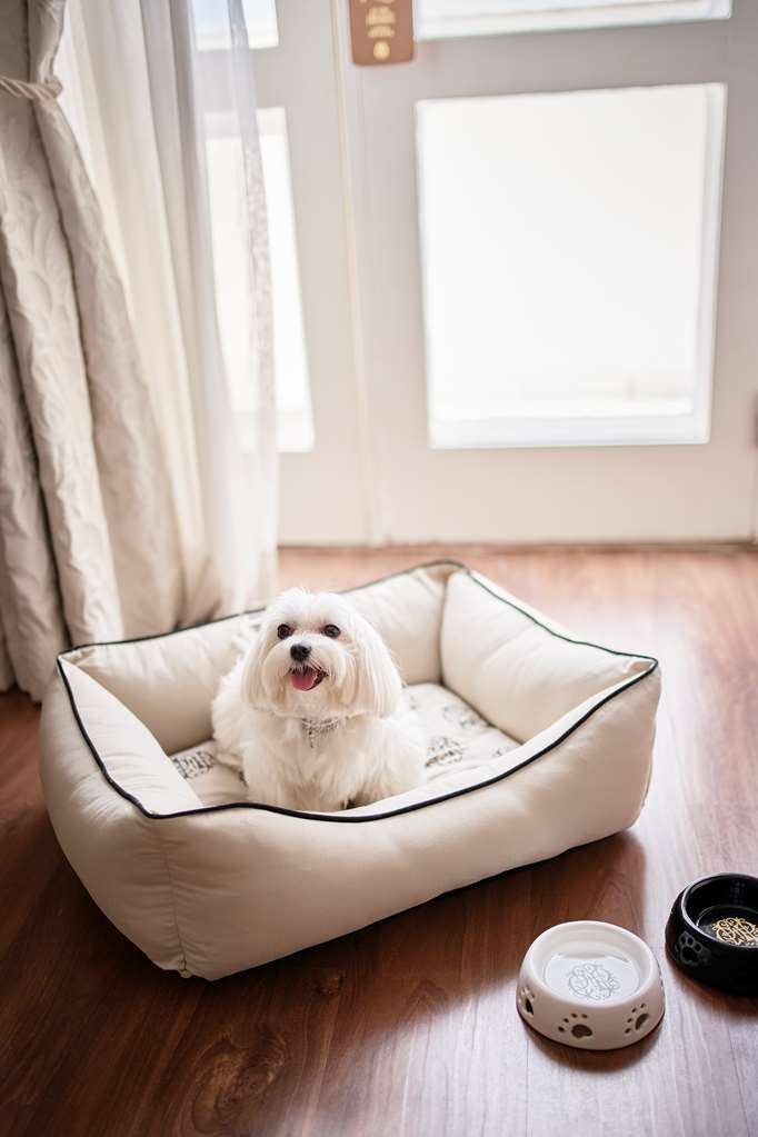 Copacabana Palace A Belmond Hotel Rio de Janeiro COP ACC DET