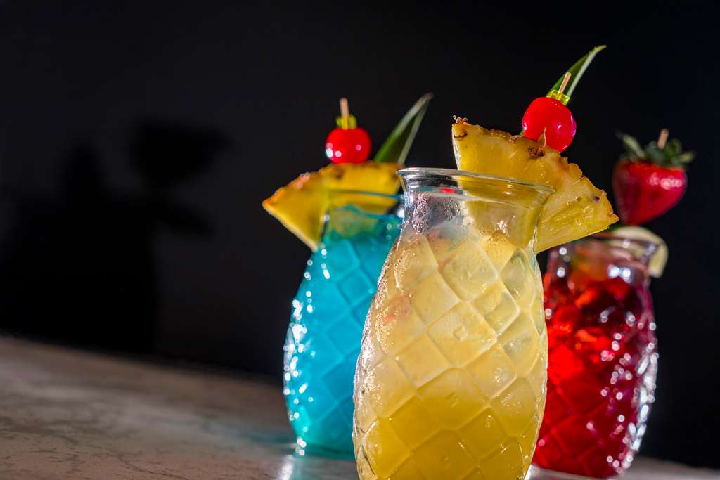 HY REG COCONUT POINT RES SPA Bar/Lounge