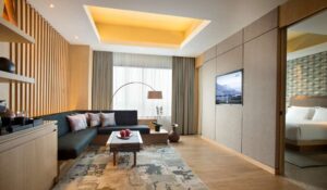 ALILA SOLO Low resolution image.